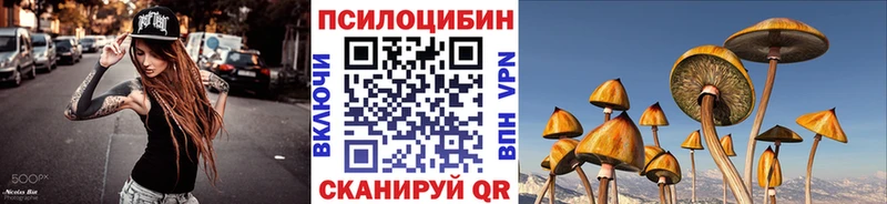 наркотики Избербаш Псилоцибиновые грибы Psilocybe